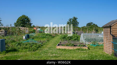 Tipico villaggio inglese comunità riparto giardino per la coltivazione di frutta e verdura Foto Stock