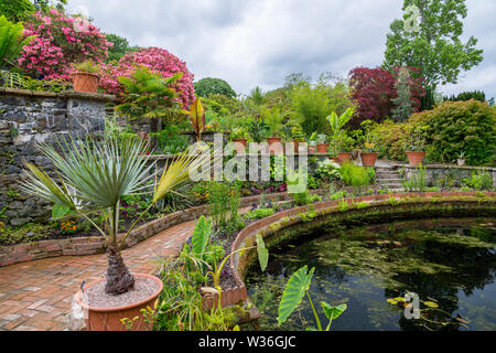 Una miscela di colorate tropicali e sub-tropicali e fogliame piante circondano lo stagno nel bagno a Bodnant Gardens, Conwy, Wales, Regno Unito Foto Stock