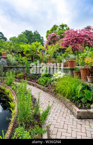 Una miscela di colorate tropicali e sub-tropicali e fogliame piante circondano lo stagno nel bagno a Bodnant Gardens, Conwy, Wales, Regno Unito Foto Stock