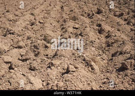 Brown il terreno fertile su fattoria pronto a seminare Foto Stock