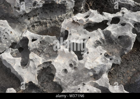 Roccia Naturale texture di calcare grigio con piccoli fori. Foto Stock