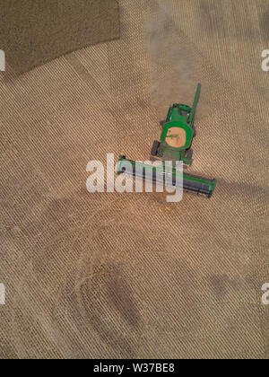 Antenna vista nadir della mietitrebbia la raccolta di frumento nel paddock grande penisola di Eyre South Australia Foto Stock