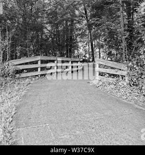 I boschi, TX USA - 05/24/2019 - sentiero a piedi nei boschi attraverso gli alberi di legno di Gaurd rotaie in B&W Foto Stock