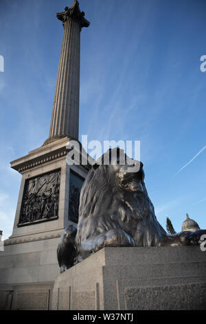 Leone di bronzo che rappresenta forza e dignità, custodisce uno dei quattro angoli della Colonna di Nelson a Trafalgar Square a Londra Foto Stock