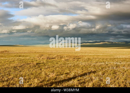 La vasta steppa aperta della Mongolia Foto Stock