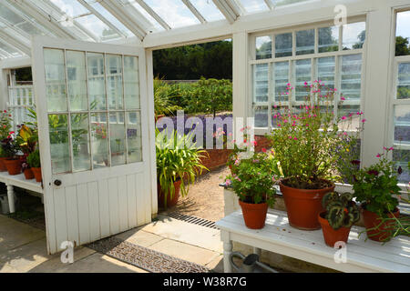 Restaurato storico interno Serra con fiori e aprire lo sportello . Foto Stock