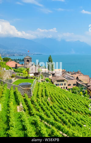 Villaggio Svizzero Saint Saphorin sulla costa del lago di Ginevra Lac Leman in francese. I vigneti sui versanti adiacenti al lago. Bella la Svizzera. Luogo di villeggiatura. Natura e paesaggio. Foto Stock