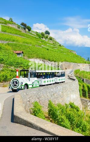 Treno turistico guidando lungo vigneti terrazzati dal Lago di Ginevra, Svizzera. Swiss Lac Leman è popolare destinazione di viaggio e meta turistica. La bellissima natura, gite turistiche. Regione viticola Lavaux. Foto Stock