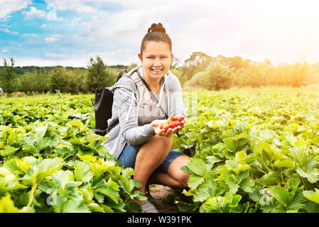 Sorridente giovane donna raccolta fragole nel campo Foto Stock