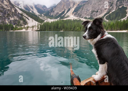 Giovane cane in barca sul lago di montagna sullo sfondo Foto Stock