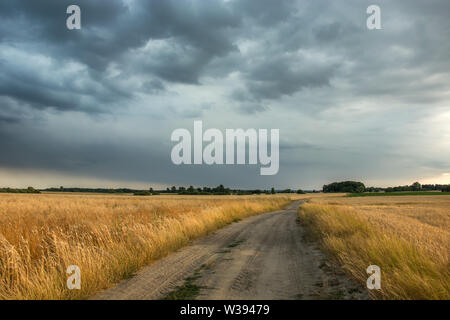 Strada di sabbia attraverso i campi di grano e di cielo nuvoloso. Czulczyce, Polonia Foto Stock