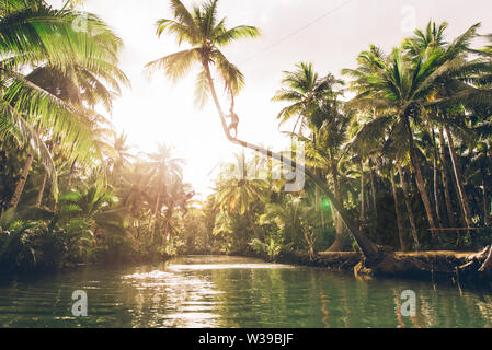 Famoso instagrammed appoggiata Palm tree al fiume Maasin nelle Siargao, Filippine - Persone aventi fun basculante in un albero di cocco nella giungla Foto Stock