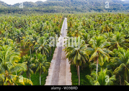 Paesaggio di verde foresta tropicale con molte palme di cocco - foresta di cocco su Siargao Island, Filippine Foto Stock