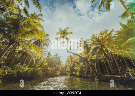 Famoso instagrammed appoggiata Palm tree al fiume Maasin nelle Siargao, Filippine - Persone aventi fun basculante in un albero di cocco nella giungla Foto Stock