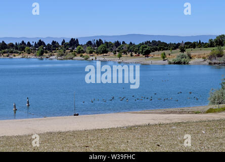 Area nuoto beach, a Ferro di Cavallo Lago, laghi di cava regionale Area ricreativa, California Foto Stock