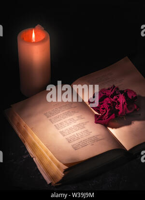 Un appassì red rose, shot close-up, giace sulle pagine di un libro aperto, accanto ad una candela brucia. Foto Stock