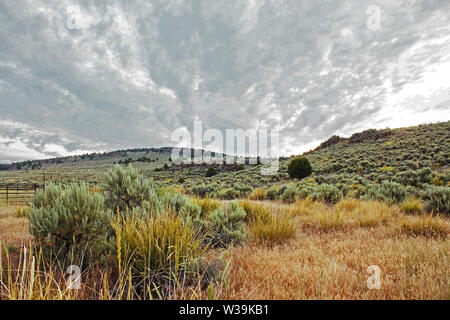 La parte Orientale del deserto di Oregon si compone principalmente di salvia. Foto Stock