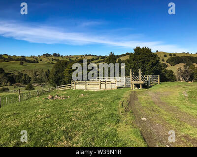 Dairy Farm in Nuova Zelanda in una giornata di sole Foto Stock