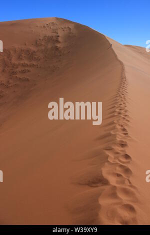 Inizio su un luglio mattina una figura lascia impronte su una duna gigante nel cuore di Sossuvlei, nel deserto del Namib (Namibia) Foto Stock