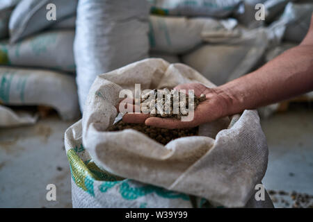 Mangime composto in una mano d'uomo Foto Stock