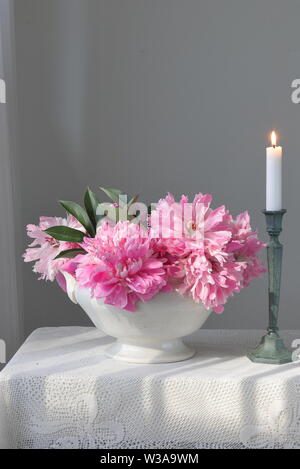 Rosa peonia fiori in un vaso bianco su un tavolo bianco. Sfondo bianco. Ancora in vita. Luce luce mattutina in interno bianco. Foto Stock