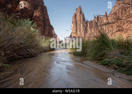 Rock e scene di oasi di Wadi Disah nella regione di Tabuk, Arabia Saudita Foto Stock