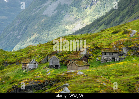 Norwegian mountain village con tappeto erboso tradizionale tetto case, Geiranger, regione Sunnmore, More og Romsdal county, Norvegia Foto Stock