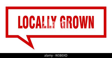 Coltivati localmente segno. coltivati localmente square discorso bolla. coltivati localmente Illustrazione Vettoriale