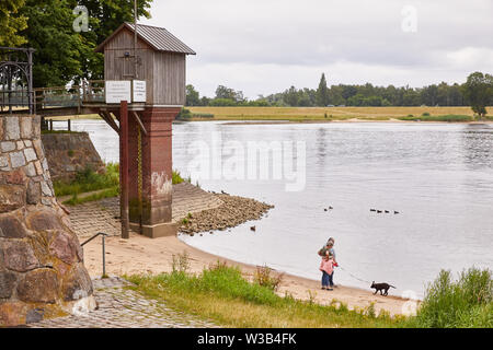 14 luglio 2019, Amburgo: Walkers stand con i loro cani sulla spiaggia Elba accanto al vecchio Zollenspieker tarature casa nel quartiere Kirchwerder. Foto: Georg Wendt/dpa Foto Stock