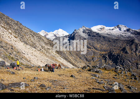 Trekking a cavallo attraverso la Cordillera Real mountain range, Bolivia Foto Stock