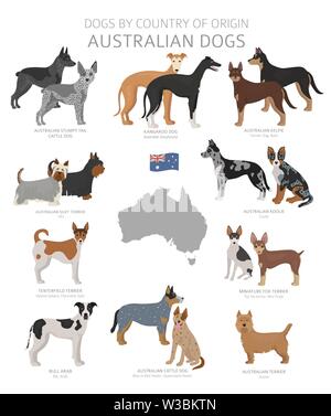 Cani dal paese di origine. Australian cane razze. Pastori, caccia, pastorizia, giocattolo, lavoro e cani di servizio impostato. Illustrazione Vettoriale Illustrazione Vettoriale