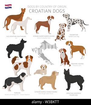 Cani dal paese di origine. Il croato cane razze. Pastori, caccia, pastorizia, giocattolo, lavoro e cani di servizio impostato. Illustrazione Vettoriale Illustrazione Vettoriale