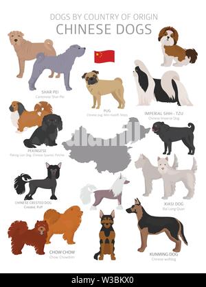 Cani dal paese di origine. Cinese di razze di cani. Pastori, caccia, pastorizia, giocattolo, lavoro e cani di servizio impostato. Illustrazione Vettoriale Illustrazione Vettoriale