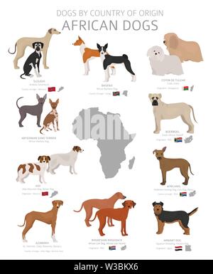 Cani dal paese di origine. African cane razze. Pastori, caccia, pastorizia, giocattolo, lavoro e cani di servizio impostato. Illustrazione Vettoriale Illustrazione Vettoriale
