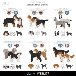 Designer cani, incroci, hybrid mix collezione pooches isolato su bianco. Uno stile piatto clipart set. Illustrazione Vettoriale Illustrazione Vettoriale