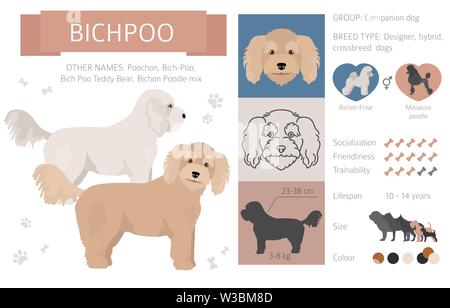 Designer, incroci, mix ibrido cani raccolta isolati su bianco. Uno stile piatto clipart set. Illustrazione Vettoriale Illustrazione Vettoriale