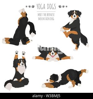 Lo Yoga pone i cani e gli esercizi. Bovaro del Bernese clipart. Illustrazione Vettoriale Illustrazione Vettoriale