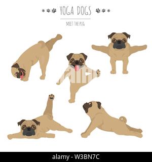 Lo Yoga pone i cani e gli esercizi. Pug clipart. Illustrazione Vettoriale Illustrazione Vettoriale