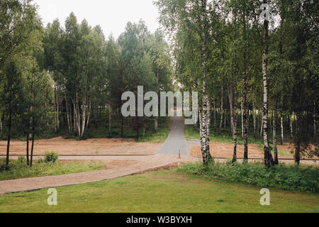 Vista del verde parco vuoto con betulle durante la primavera Foto Stock