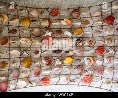 Rete da pesca con conchiglie. Rete con belle conchiglie come decor. Mare  decor e design concept. Decorazione per interni o pareti Foto stock - Alamy