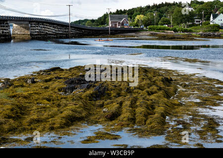 Kayakers passare sotto lo storico ponte Cribstone lungo Wills Gut su Bailey Island in Harpswell, Maine. Foto Stock