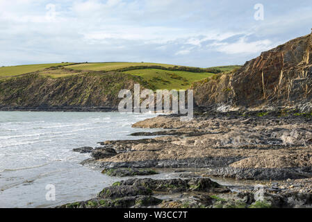 Alte scogliere a Newport Sands sulla costa del Pembrokeshire, Galles. Foto Stock