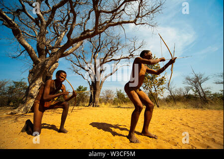 Ju/'Hoansi o Boscimani San hunter simula una battuta di caccia con arco e frecce al loro villaggio, Grashoek, Namibia Foto Stock