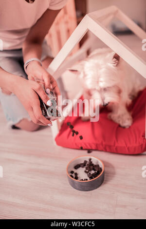 Mettere un po' di cibo. Close up di cura proprietario della cute cane di mettere un po' di cibo nella ciotola Foto Stock