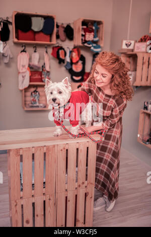 Bellissimi i capelli rossi donna. Bellissimi i capelli rossi donna che indossa abiti squadrato guardando il suo animale domestico indossando indumenti di colore rosso Foto Stock