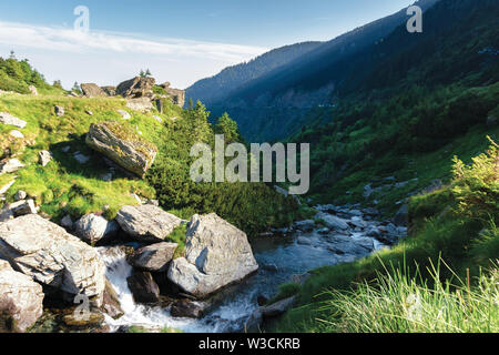 Balea flusso di acqua di montagna a sunrise. bella estate paesaggio naturale di Fagaras, Romania. le rocce enormi e abeti sui pendii erbosi. Foto Stock