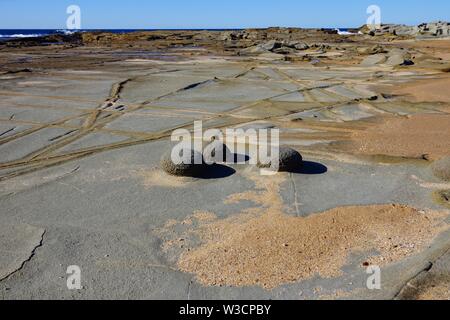 Insolite formazioni di roccia in riva al mare Foto Stock