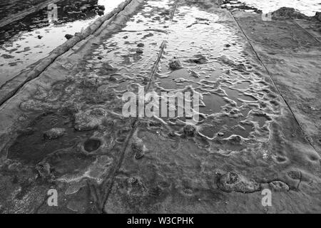 Monocromatico piscine di roccia Foto Stock