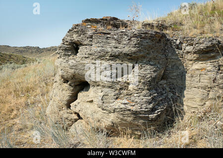 Cross-biancheria in Cretaceo formazione Kootenai, Montana. Foto Stock