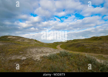 Dune naturali vicino a Bergen aan zee nel nord dell'Olanda Foto Stock